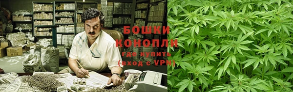 PSILOCYBIN Медногорск
