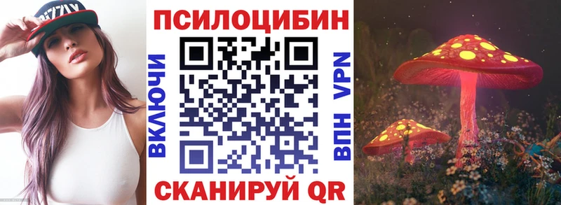 Псилоцибиновые грибы Cubensis кракен tor Ядрин